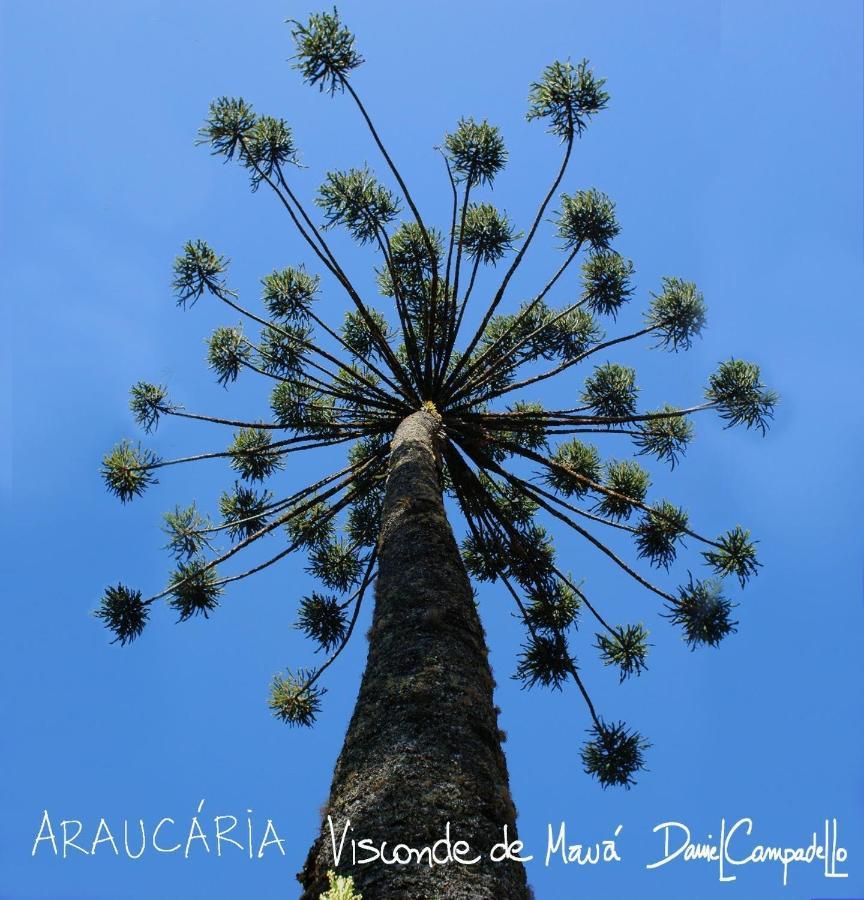 Pousada Toque De Minas วิสกอนจิ จิ เมาอา ภายนอก รูปภาพ