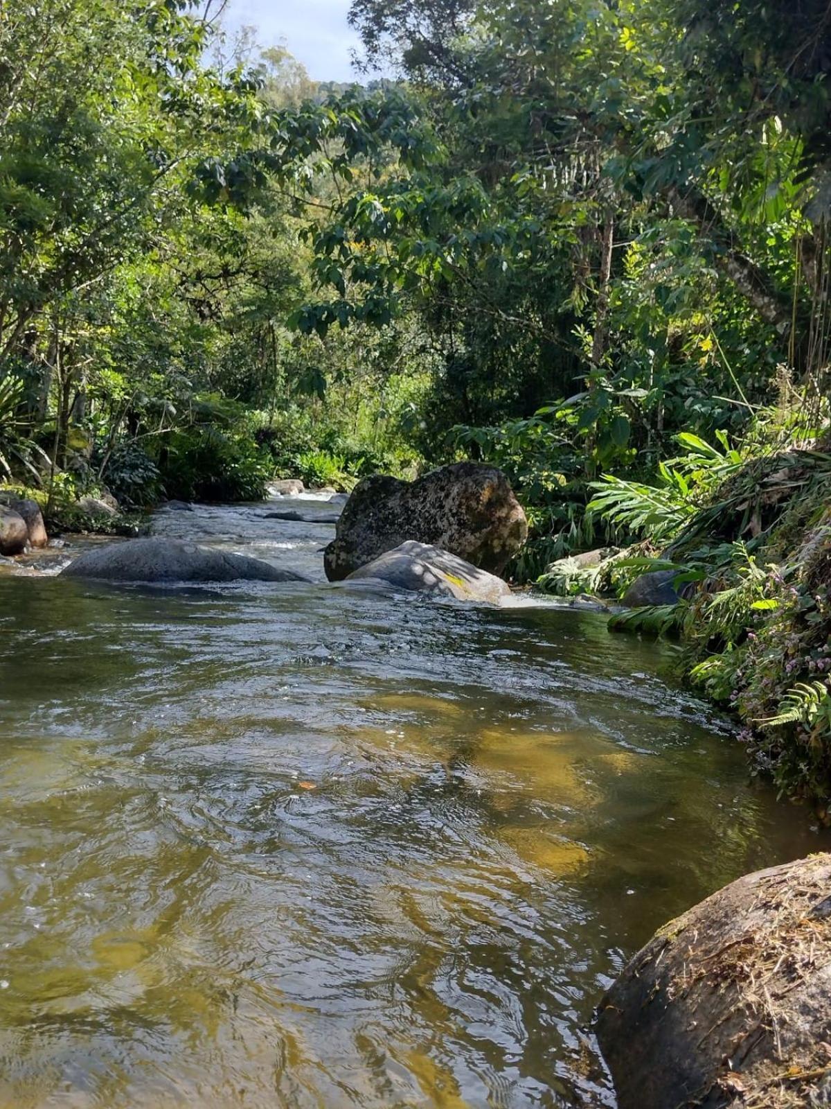 Pousada Toque De Minas วิสกอนจิ จิ เมาอา ภายนอก รูปภาพ