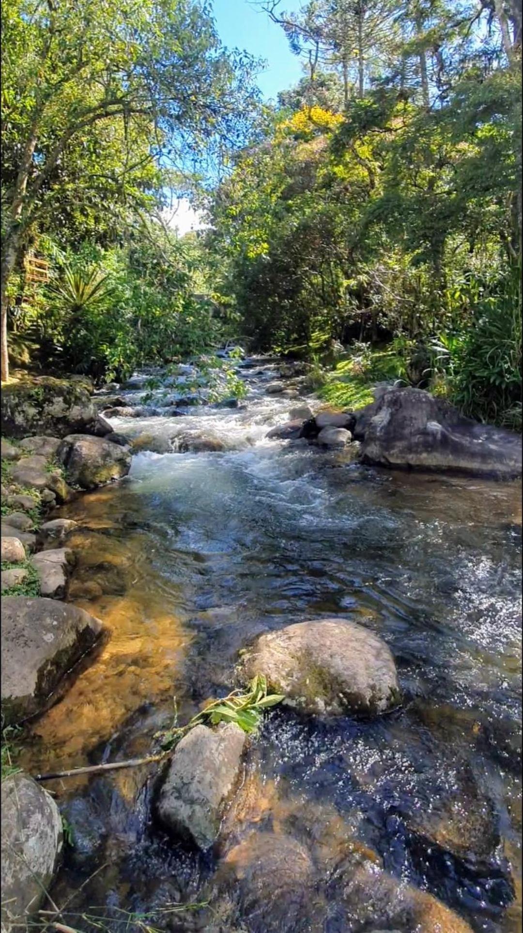 Pousada Toque De Minas วิสกอนจิ จิ เมาอา ภายนอก รูปภาพ